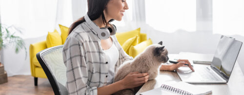 Mulher trabalhando em casa com um gato no colo